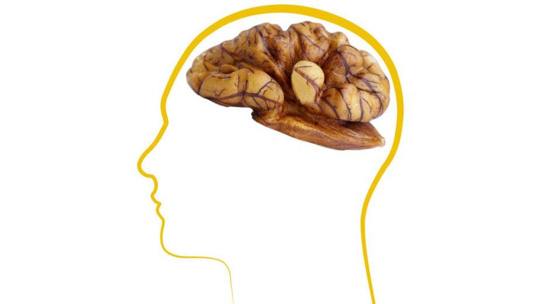 Ořechy pro náš mozek